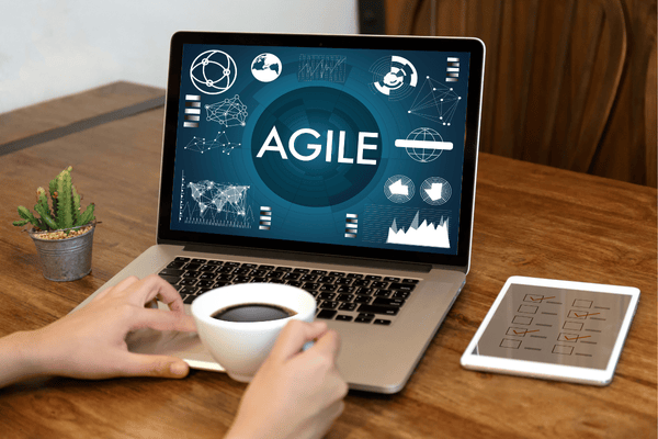 Agile Business Analysis Foundation
