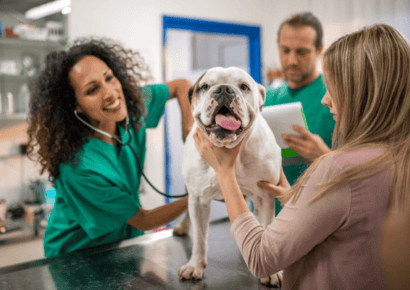 Dog Care- Dog Nutrition, Mental Health and Dog First Aid